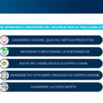 Tracciabilità di filiera: il ruolo dei dati e dell'Innovazione Digitale