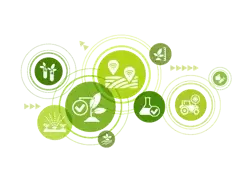 Le applicazioni tecnologiche per la Smart Agrifood