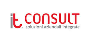 IT-Consult