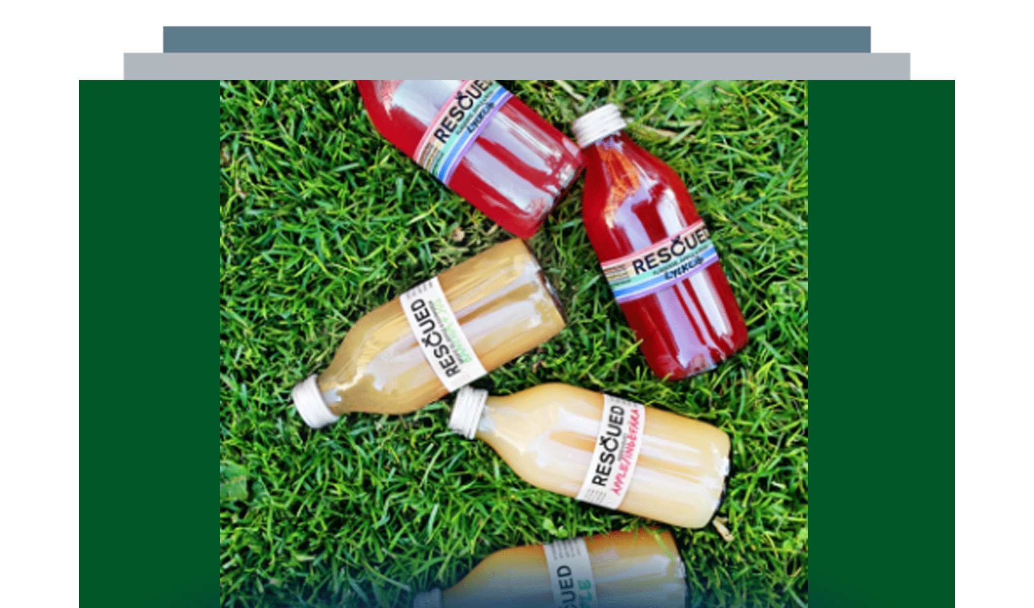 Il ciclo virtuoso del cibo: come trasformare lo spreco in valore