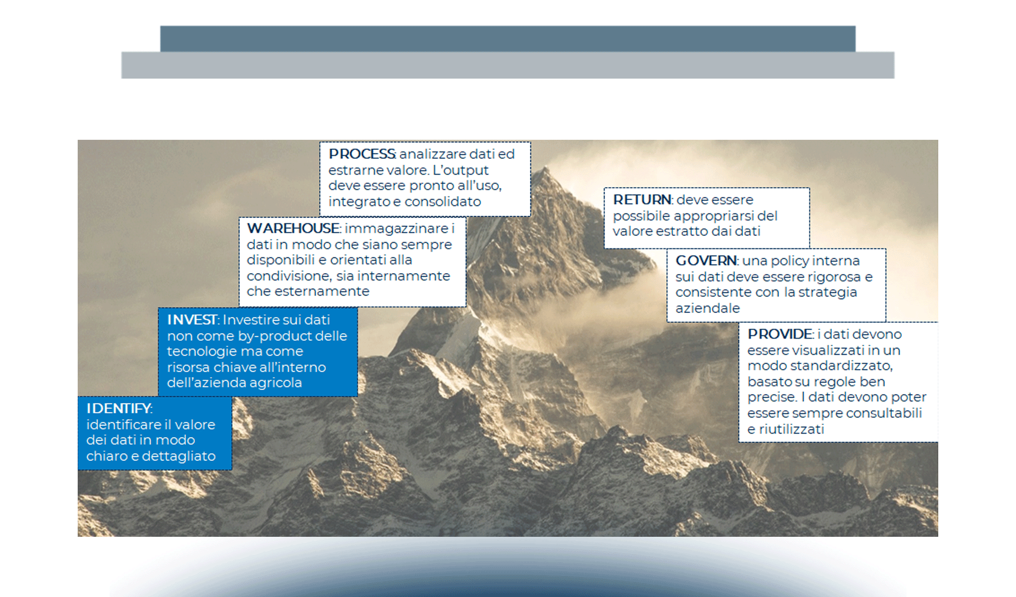 Il ruolo dei dati nel settore Agroalimentare