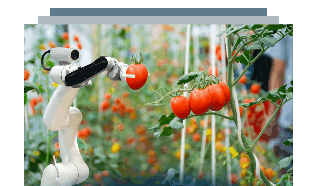 Innovazione Digitale nell’agroalimentare: Agricoltura 4.0, IA e carbon farming (2026)