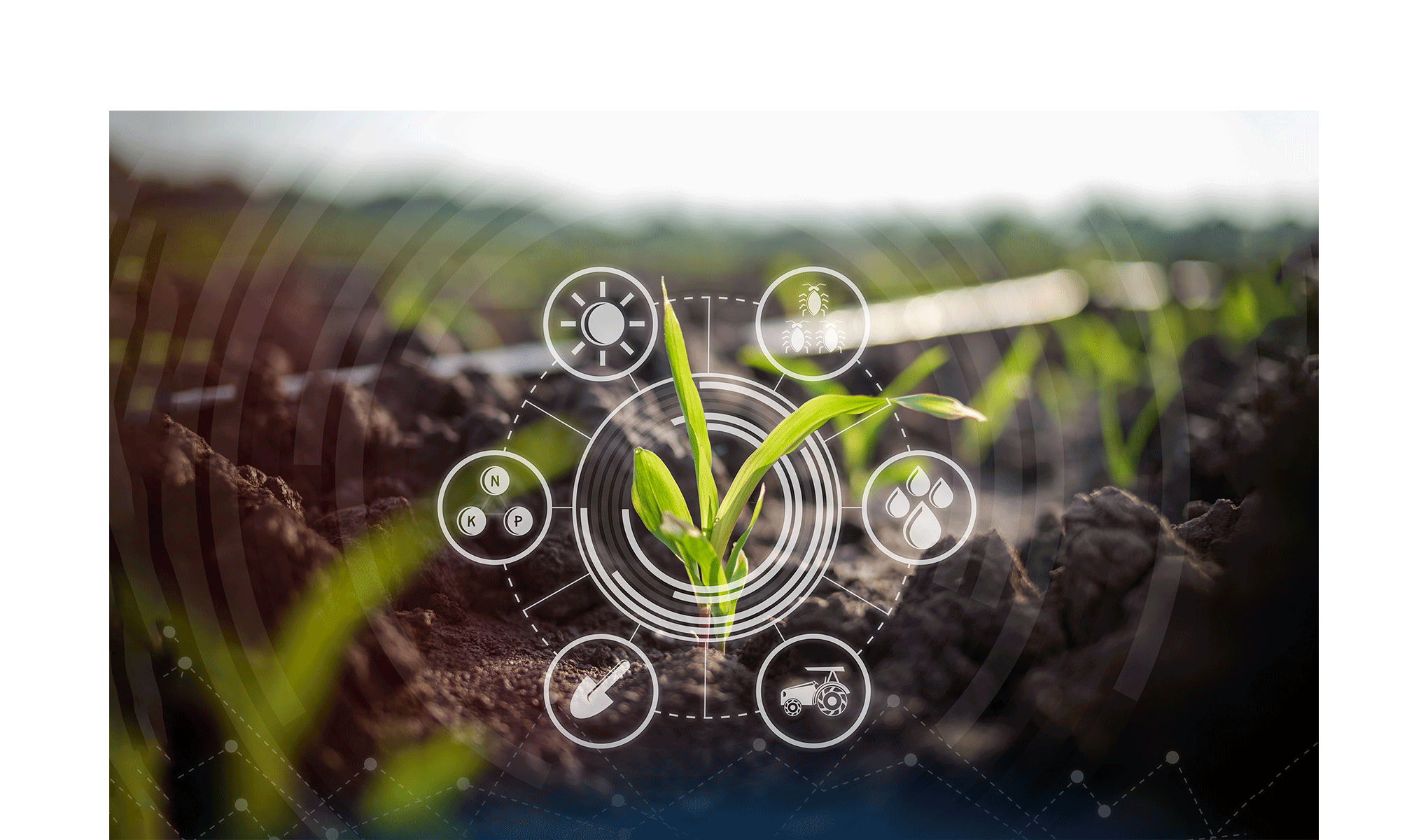 Nel 2023 l’Agricoltura 4.0 italiana raggiunge 2,5 miliardi di euro, +19%