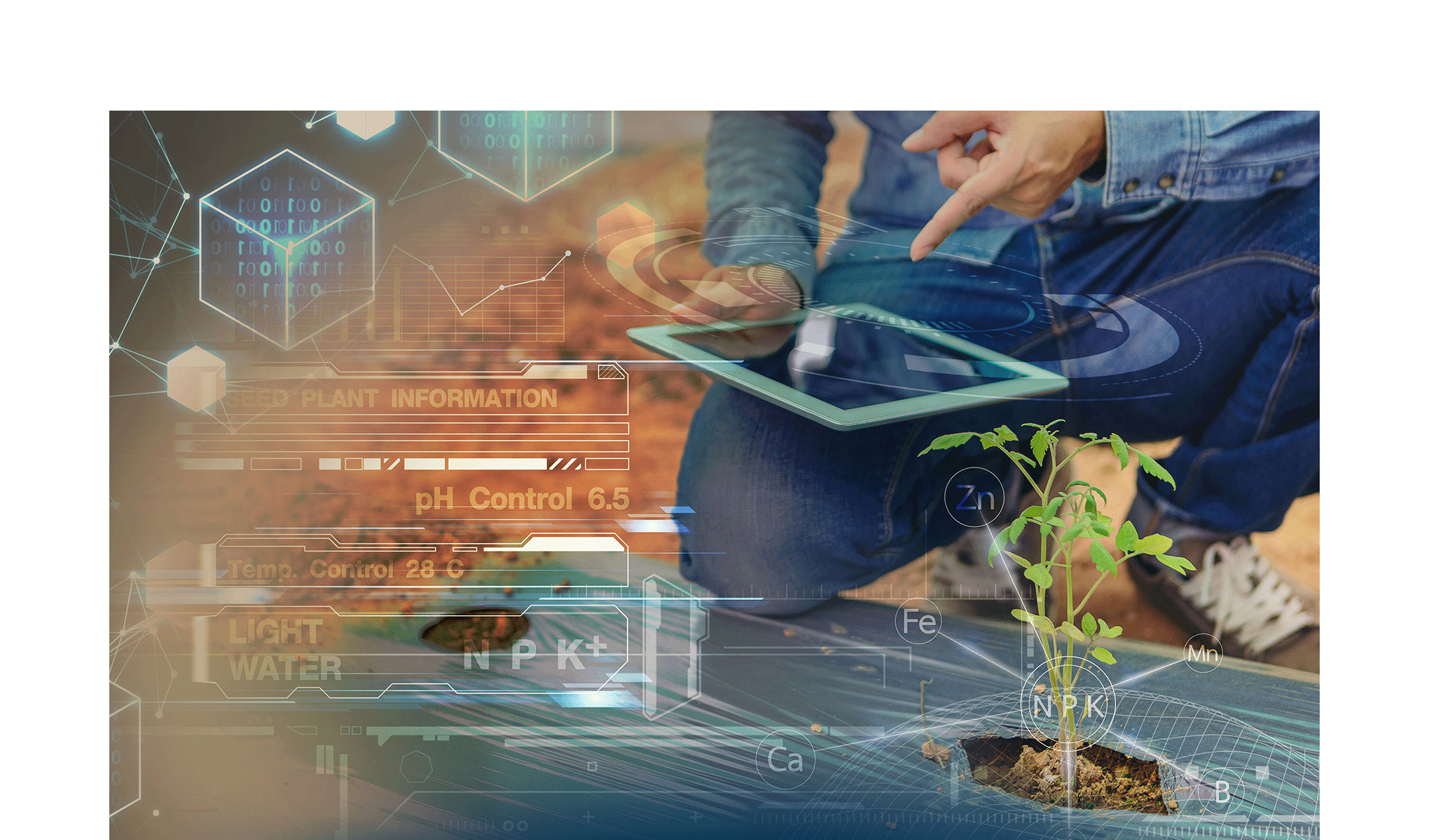 Il mercato dell’Agricoltura 4.0 vale 540 milioni di euro, +20%