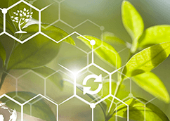 Smart Agrifood: boom dell'Agricoltura 4.0