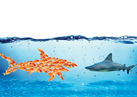 Nella pandemia le imprese riscoprono il Supply Chain Finance