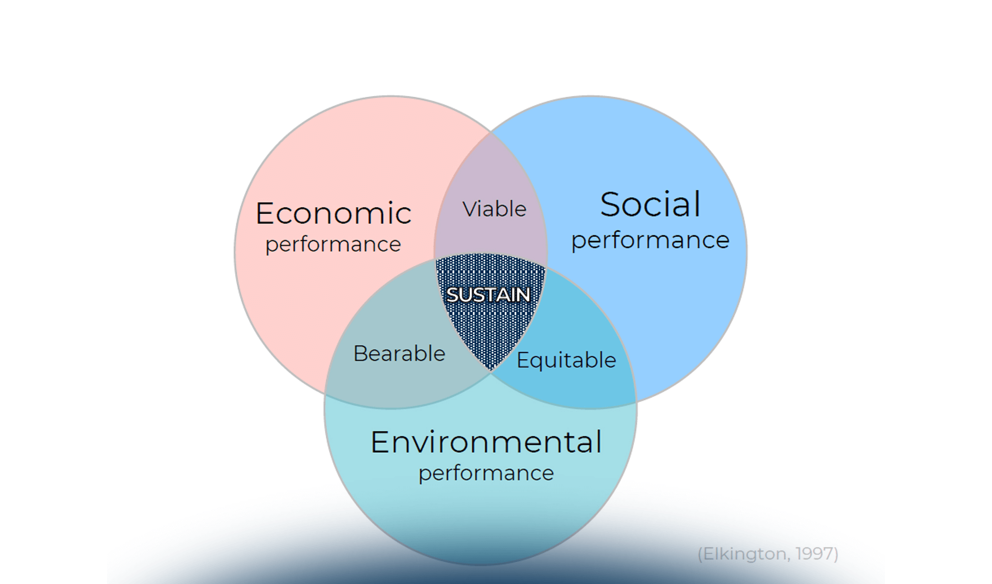 AI per la sostenibilità ambientale e per la società: il punto di vista di imprese e consumatori