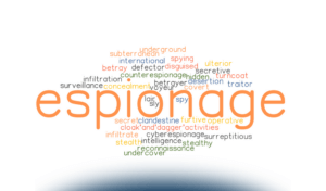 Principali cyber minacce e contromisure adeguate