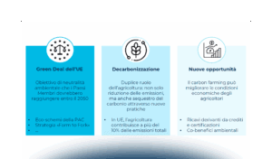 Carbon farming: quale futuro per il settore?