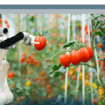 L’Innovazione Digitale nel settore agroalimentare: trend ed evoluzioni (2025)