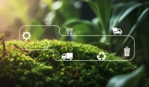 Sostenibilità nel Retail: progetti, obiettivi e ruolo del digitale