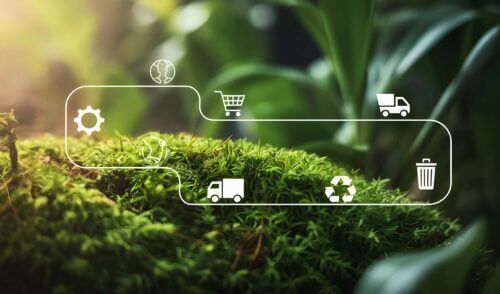 Sostenibilità nel Retail: progetti, obiettivi e ruolo del digitale