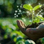 Convegno dei risultati di Ricerca dell’Osservatorio Smart AgriFood