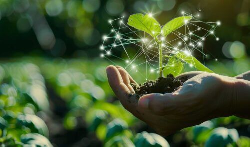 Smart agrifood: segnali di ripresa, tra vecchie sfide e nuove opportunità