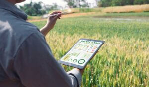 Agricoltura 4.0: offerta, mercato e stato di digitalizzazione