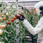 Agrifood e AI: Cybersecurity, normative e gestione dei dati